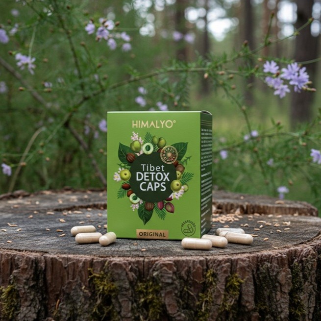 Bylinné složení Tibet Detox