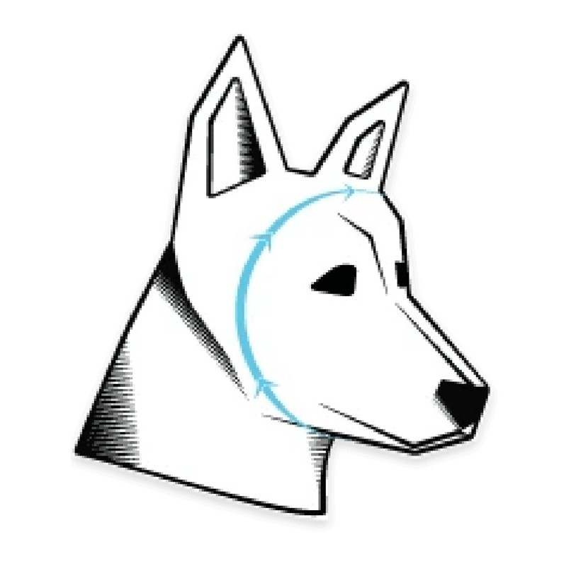 Pohodlný design Rex Specs Ear Pro