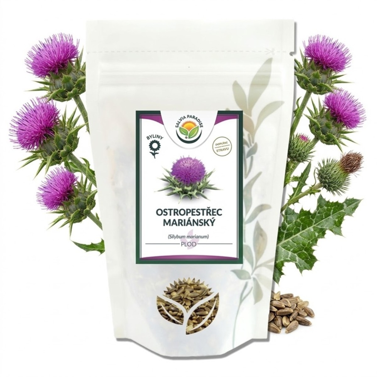 Příprava čaje z ostropestřce mariánského