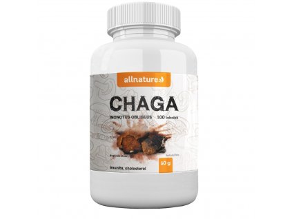 Allnature Chaga 100 tobolek