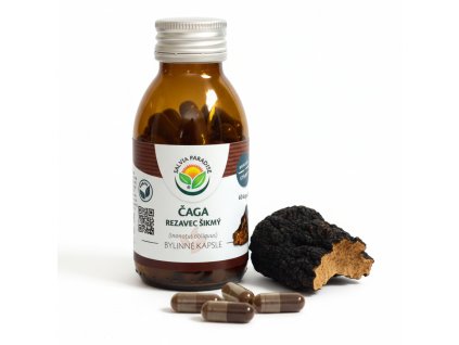 salvia paradise chaga
