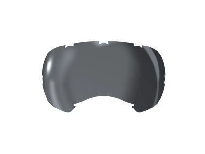 Rex specs mirror silver