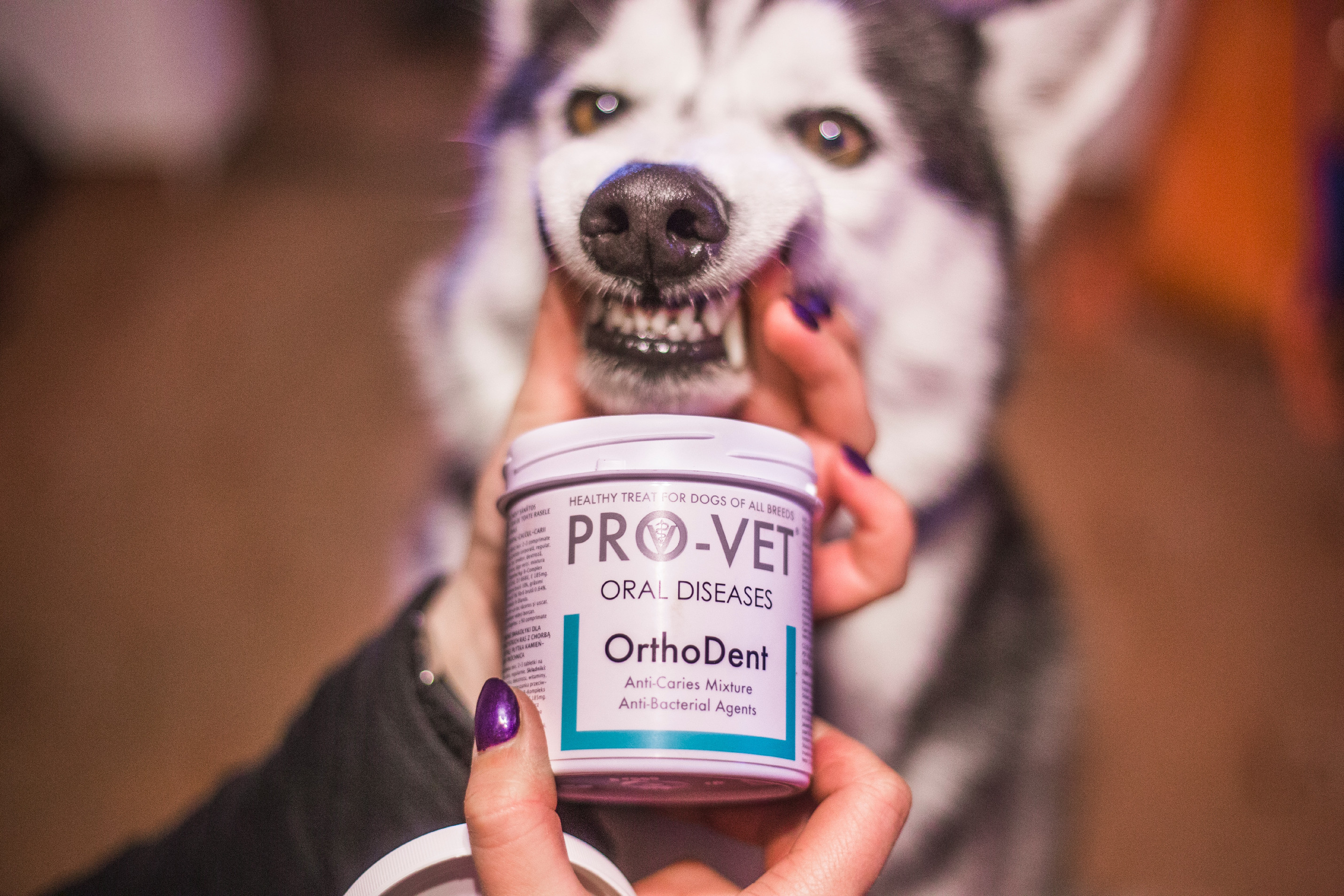 PRO-VET OrthoDent 90 tbl (obrázek 3)