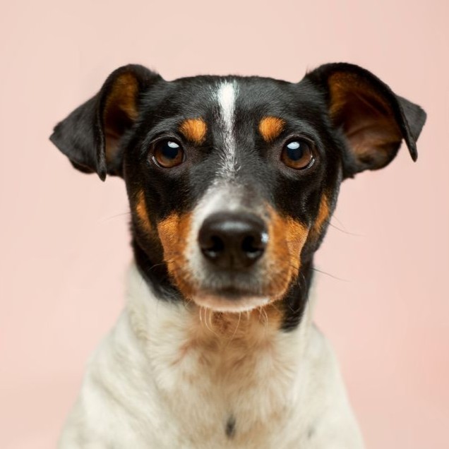 Pro Vet Hepatic 135 g (obrázek 5)