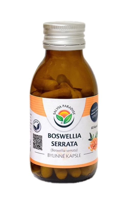 Boswellia serrata - kadidlovník - 60 kapslí