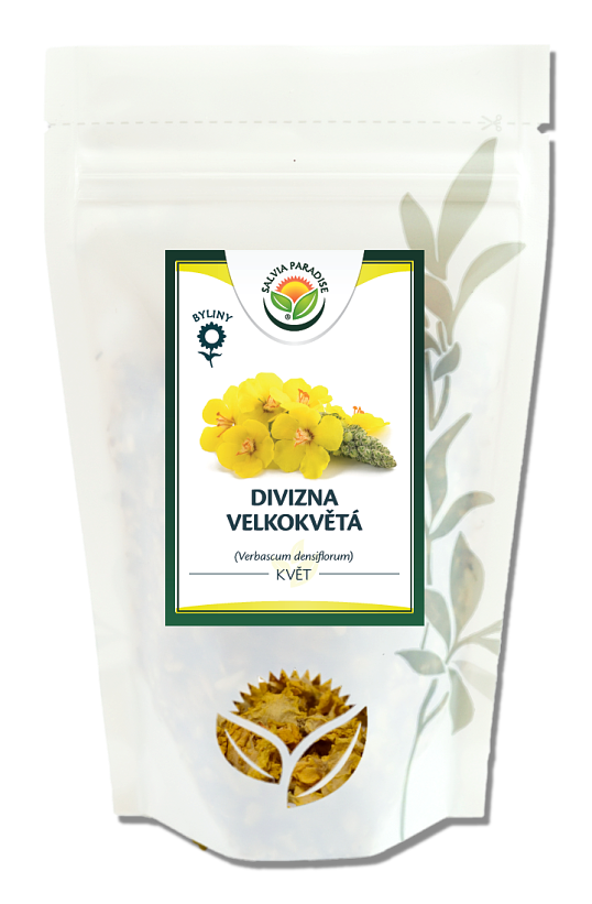 Salvia Paradise Divizna velkokvětá 1000g