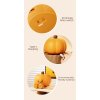 Lamp Pumpkin10