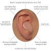 snoozers ear diagram 600x600