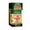 Rainforest Echinacea 500mg 90 tobolek