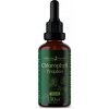 Chlorophyll Effective Nature