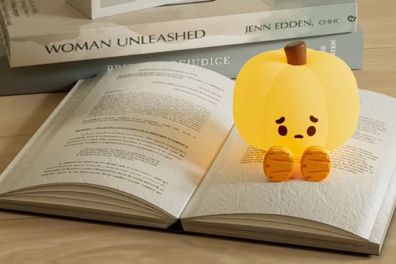 Praktikus, hordozható lámpa