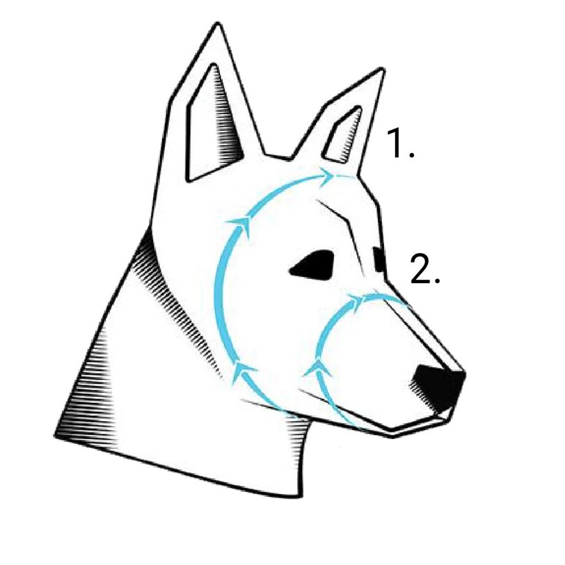 Rex Specs Goggles V2 – a csomag tartalma átlátszó és füstszínű lencsékkel