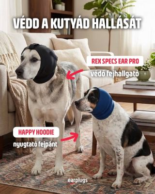 🐶A kutyák hallása sokkal érzékenyebb, mint a miénk, és a tartós vagy hirtelen hangos zaj stresszhez, szorongáshoz, sőt...