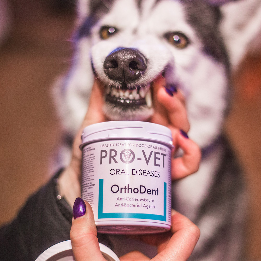 PRO-VET Orthodent - îngrijire completă a cavității bucale