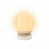 Lampă de noapte LED de primăvară fără componentă albastră