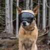 Ochelari de protecție Rex Specs V2 - ochelari de protecție pentru câini