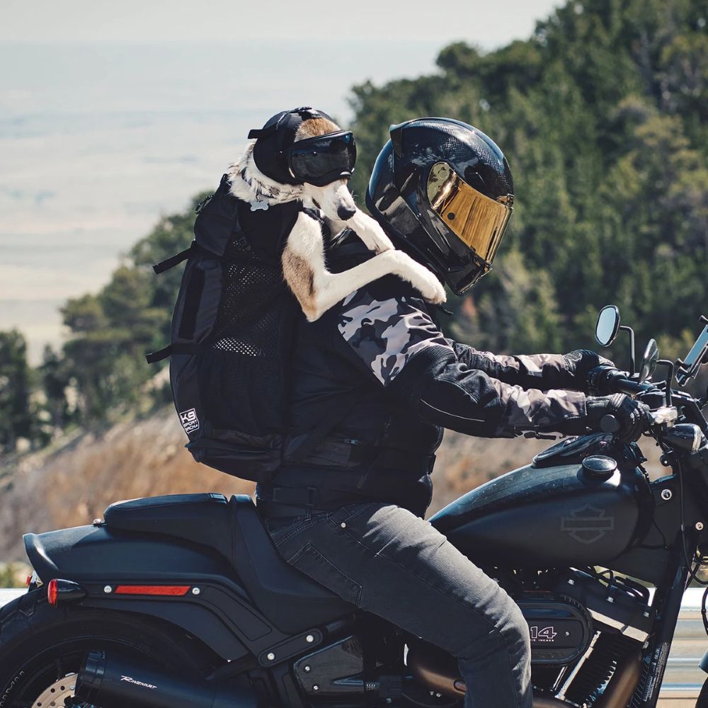 Rex Specs Ear Pro použitie s výstrojou