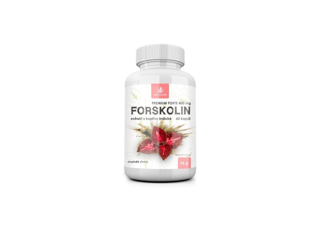 E-shop Allnature Forskolin Premium forte 400 mg 60 kapsúl