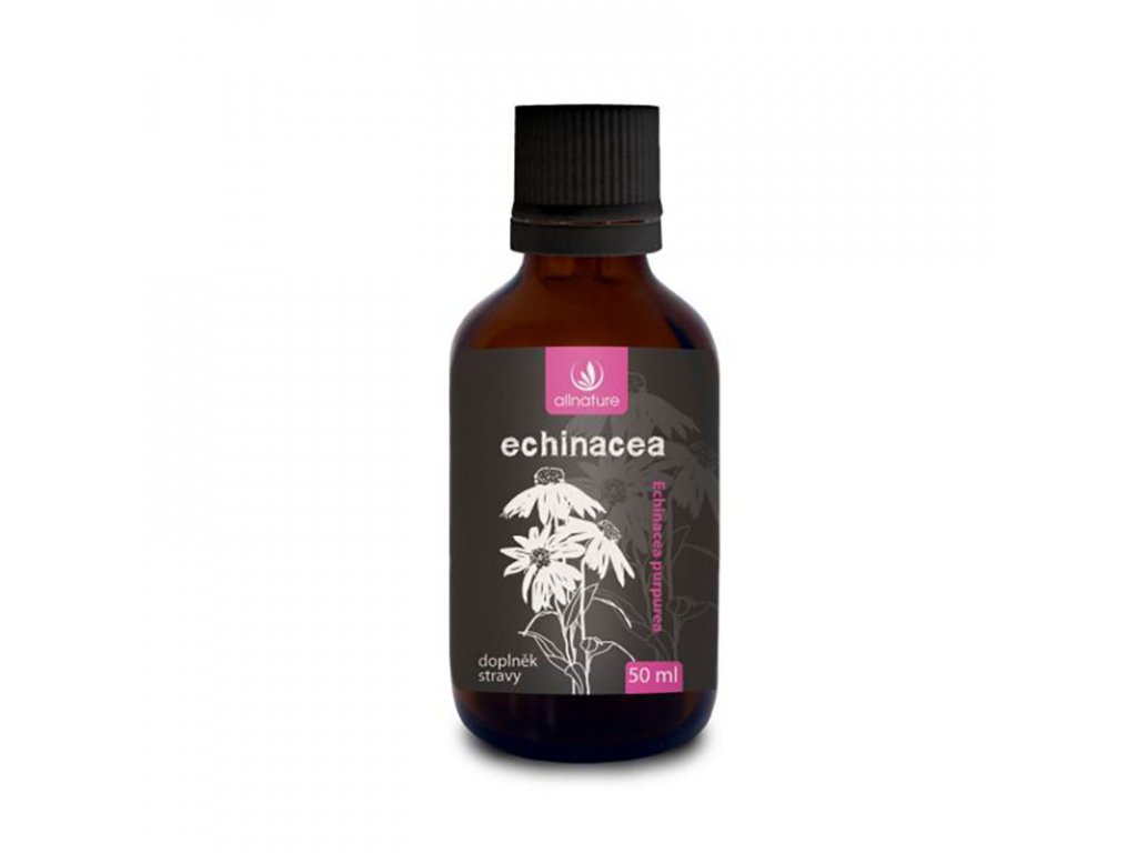 Allnature Echinacea bylinné kvapky 50 ml Výživový doplnok