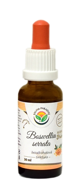 E-shop Boswellia serrata - kadidlovník bezalkoholová tinktúra 30 ml