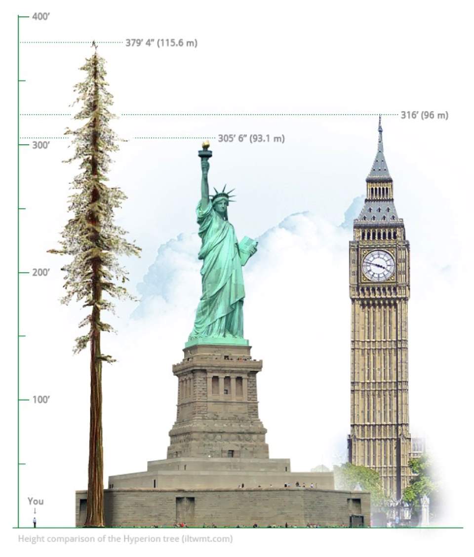 height-comparison-hyperion