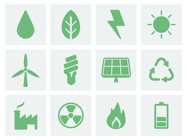 24 Tipps die unsere Umwelt schützen und schonen [2020]