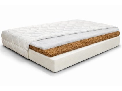 polokokos new 1769574175