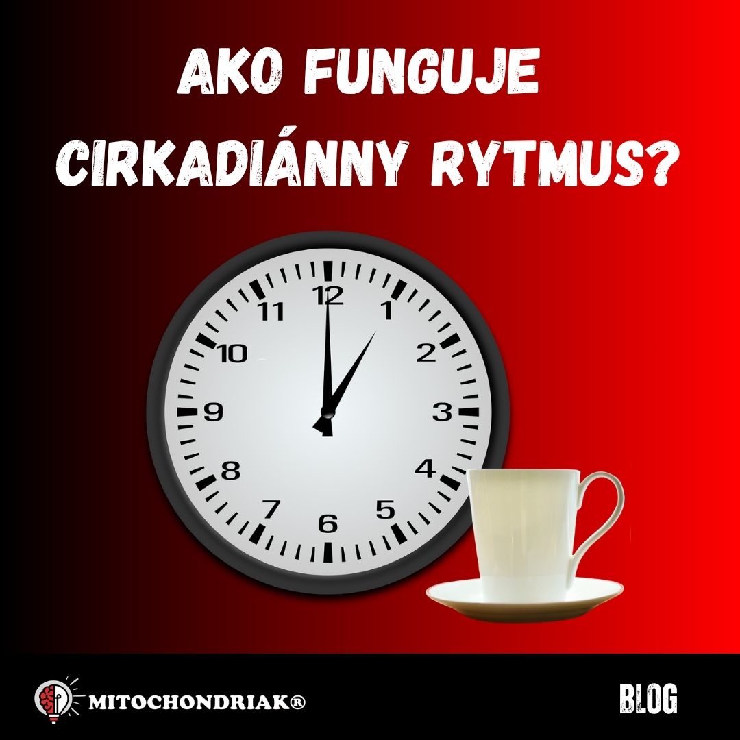 Cirkadiánny rytmus: Ako fungujú naše vnútorné hodiny?
