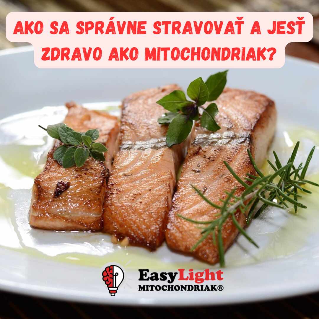 Ako sa správne stravovať a jesť zdravo ako Mitochondriak?