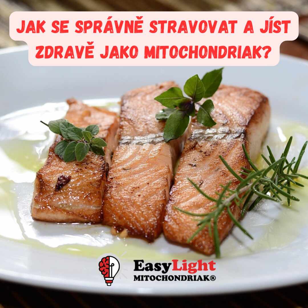 Jak se správně stravovat a jíst zdravě jako Mitochondriak?