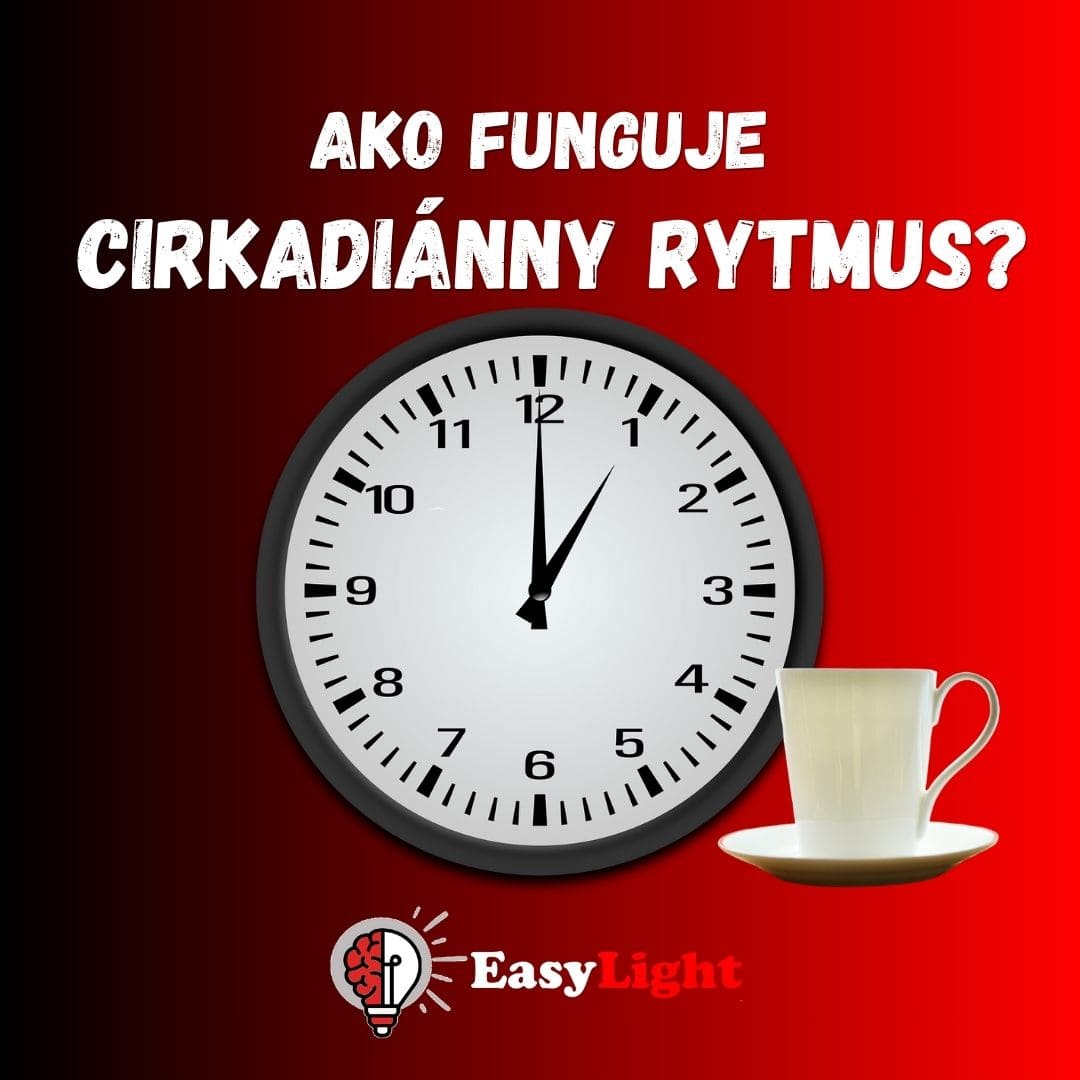 Cirkadiánny rytmus: Ako fungujú naše vnútorné hodiny?
