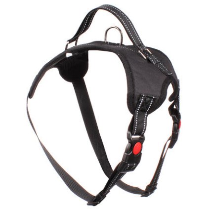 Body postroj pro psy černá (Rozměr S)