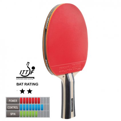 Stolní tenis pálka DUNLOP FLUX (Velikost Univerzální)