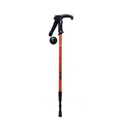 trek senior 1 a