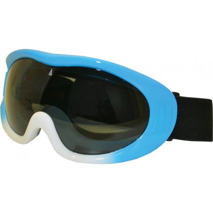 bs vision 4 a