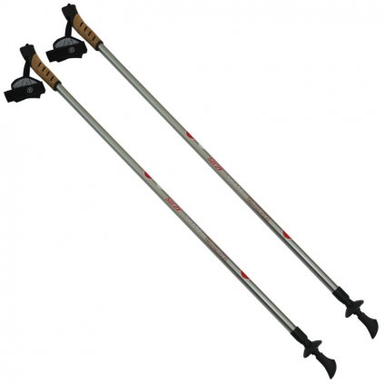 trek skate 2 a