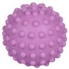 TPR 61 masážní míček fialová
