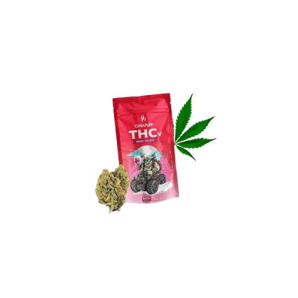 1341 bry glto thcv removebg preview.png