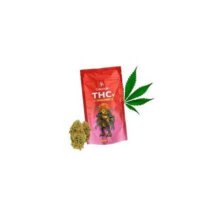 1347 ppy pnch thcv removebg preview.png