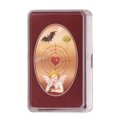 4669 4 vykladaci karty revers obrazkovy plastova krabicka