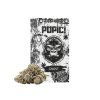POPIČ! - Signature Květy - Ghost 1g