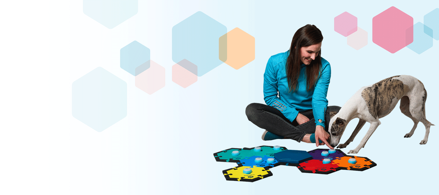3 beszélő gombot tartalmazó FluentPet HexTile, ami felé egy cica, egy kutya és egy ember nyúl. A macska azt a gombot nyomja be, hogy "nasi", a kutya azt, hogy "séta", az ember azt, hogy "most?"