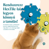 BasicTKInfographic2 HU