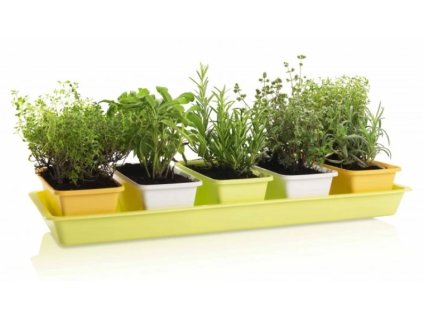 PLASTKON, truhlík MINIGARDEN SPRING, sada 5 ks (mix barev)