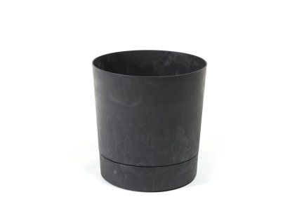 13962 aura cerna