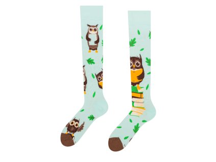 D W H UKS C C OKT 2193 Owl Books