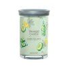 40679 CUCUMBER%20MINT%20COOLER TUMBLER