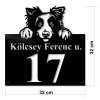 Border collie p02