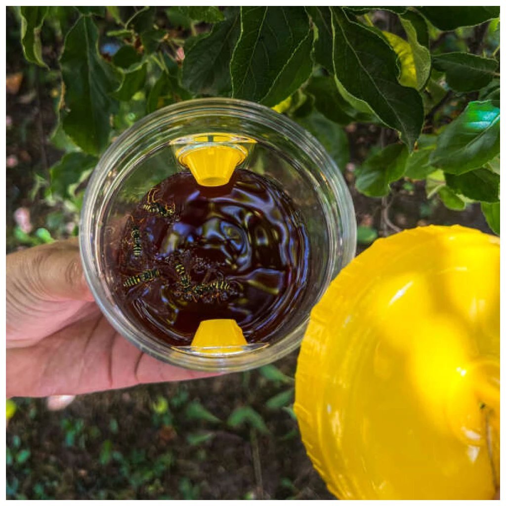 Elég a darazsakból! Így szabadulj meg tőlük vegyszer nélkül