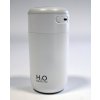 holm3109